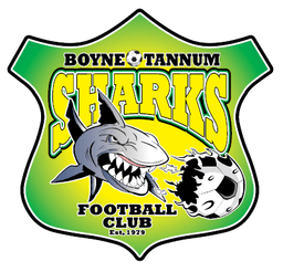 Boyne Tannum Football Club Inc logo