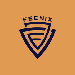 Brisbane Feenix Futsal Club logo