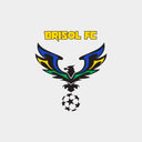 Brisol Futsal Club logo