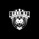 Bulimba Bears Futsal Club logo