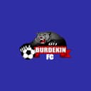 Burdekin FC logo