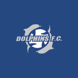 Dolphins Football Club Inc logo