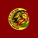 Golden Lions Futsal Club logo