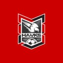 Holland Park Hawks Football Club Inc logo