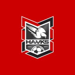 Holland Park Hawks Football Club Inc logo