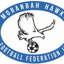 Moranbah Hawks Football Federation Inc logo