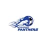 Nanango Soccer Club logo