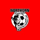 Northern Beaches United Football Club logo