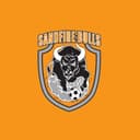 Sandfire Bulls logo